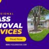 Professional Grass Removal Services