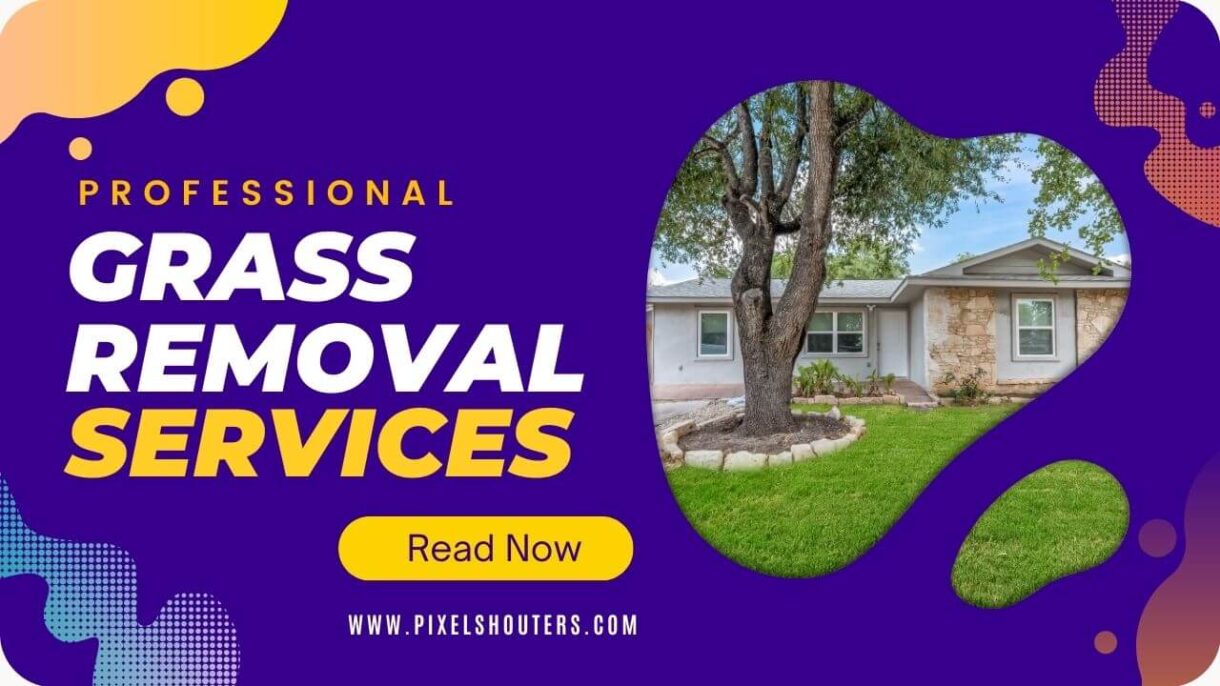 Professional Grass Removal Services
