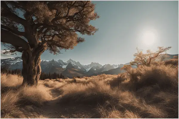 Close-Up with a Wide-Angle Lens A tree in the foreground with a mountain in the background, captured using a wide-angle lens for dramatic effect.