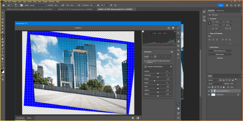 Tips for Advanced Photoshop – Raw Camera Filters