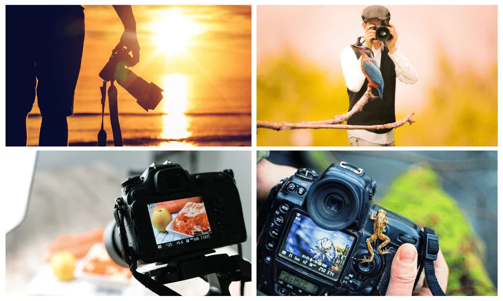 Collage of four photography scenes: a silhouette of a photographer shooting into the sunset, a birdwatcher with a camera and kingfisher on a branch, a camera displaying food photography on its screen, and a close-up of a camera screen showing a frog macro shot.