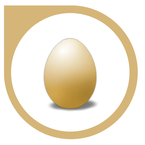 Golden egg inside a modern circular logo for LightZone open source photo editor